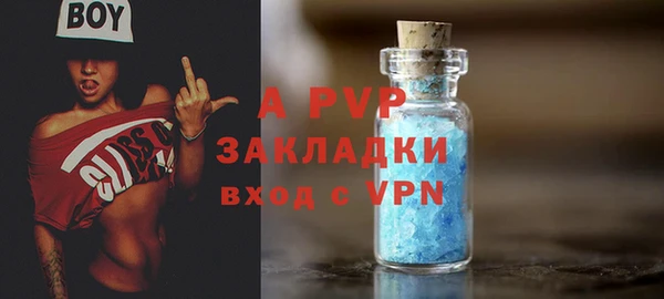стафф Нефтекумск