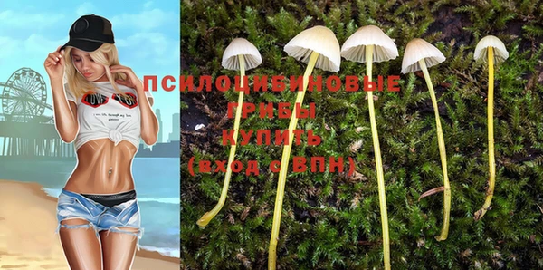 ECSTASY Новодвинск