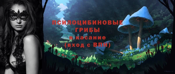 первитин Новозыбков
